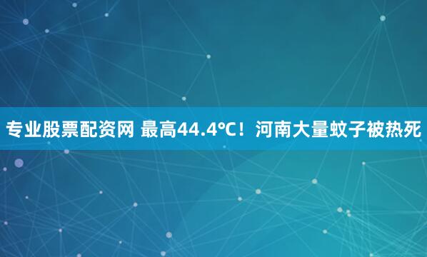 专业股票配资网 最高44.4℃！河南大量蚊子被热死