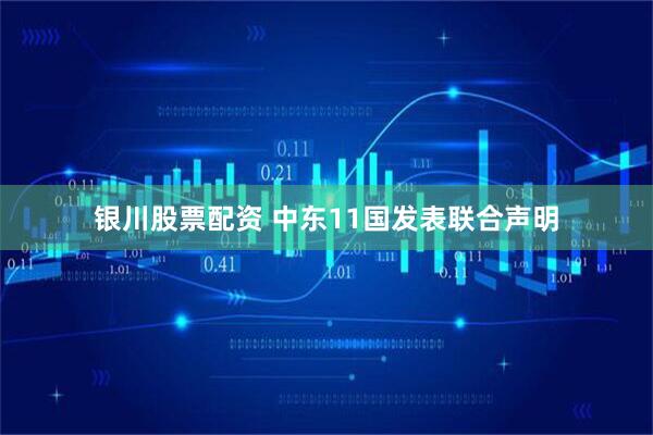 银川股票配资 中东11国发表联合声明