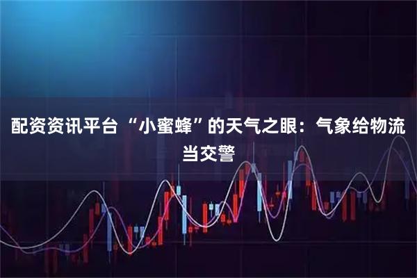 配资资讯平台 “小蜜蜂”的天气之眼：气象给物流当交警